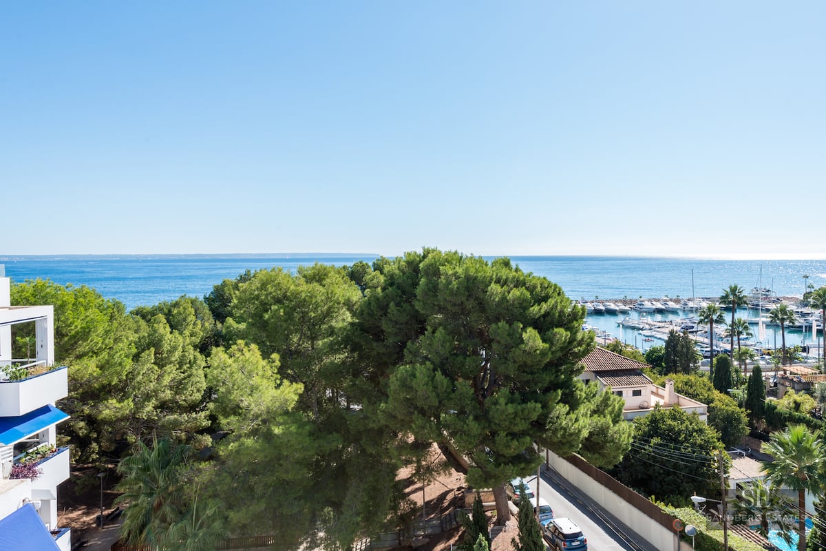 High-angle view of the blue Mediterranean sea, a marina with boats, and green pine trees under a clear sky.