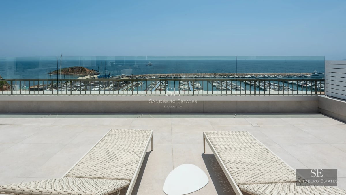 Pool view, terrace with sun loungers, palm trees and modern architecture. Impeccable lawn, ideal for relaxation. Contemporary design.