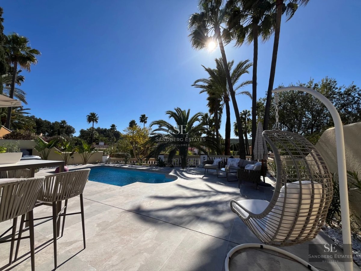 Exterior view of a modern home with a pool, lush garden, and large windows that maximize natural light.