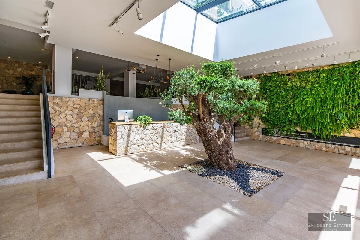 Exterior view of a modern villa with infinity pool. Minimalist design, large windows, and lush landscaping.