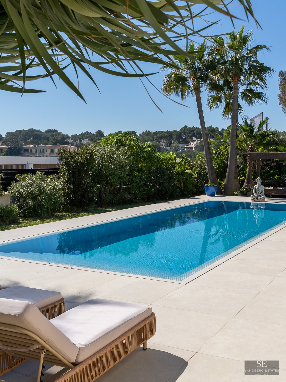 Rectangular turquoise pool on a light stone patio, with sun loungers in the foreground and palm trees against a blue sky.