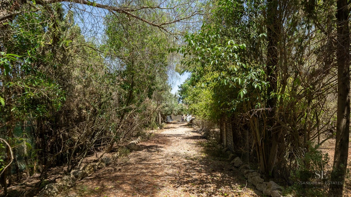 Aerial view of a modern villa featuring a pool, manicured garden and minimalist design. Natural light highlights the architecture.