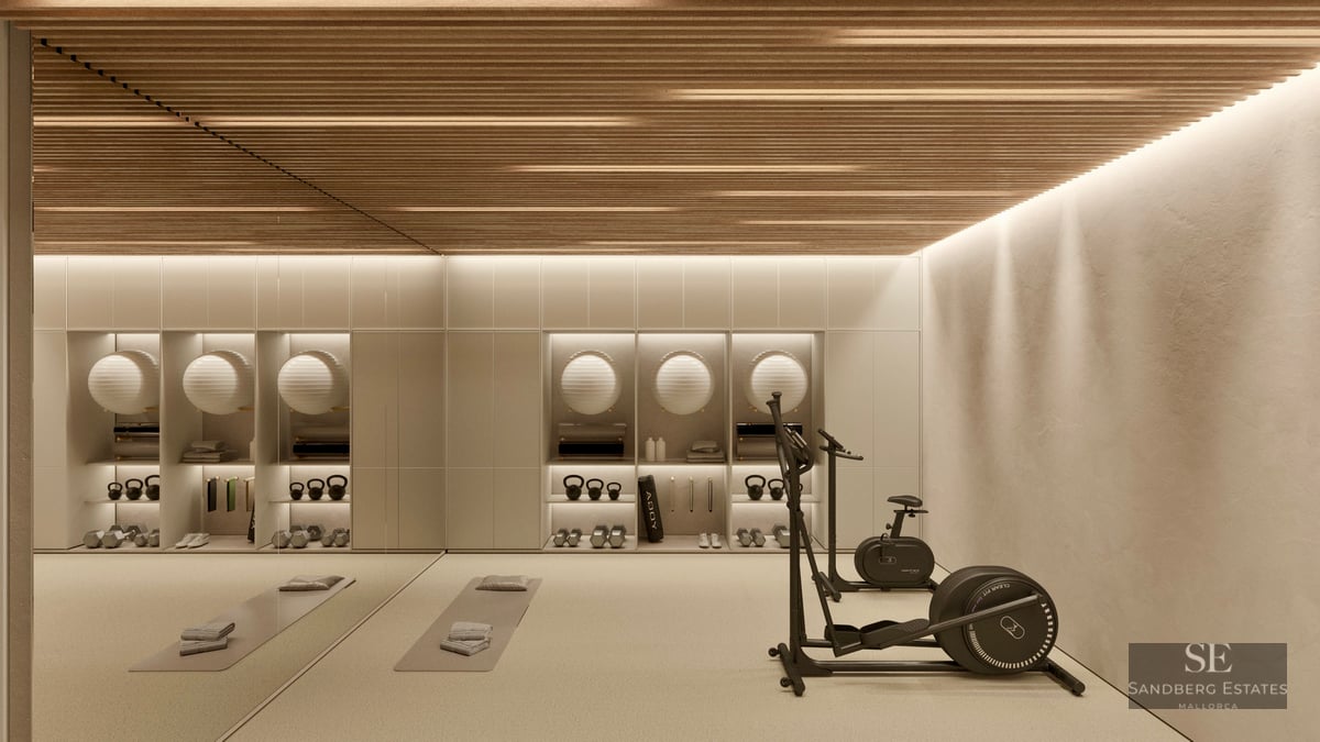 Modern gym with wooden slatted ceiling, elliptical trainer, weights, and exercise balls in integrated shelving.