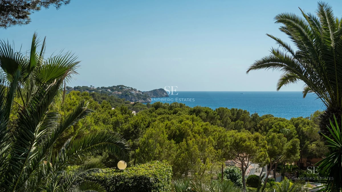 Exterior view of modern villa with reflecting pool. Minimalist architecture, large windows, manicured gardens. Warm natural lighting.
