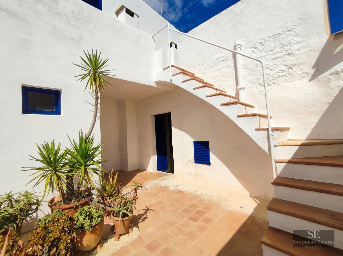A bright outdoor patio with whitewashed walls, terracotta stairs, a blue door, and several potted succulent plants.