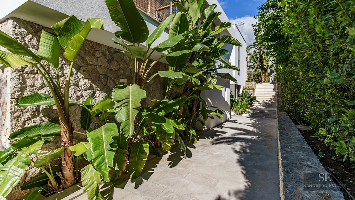 Chemin de pierre ensoleillé bordé de plantes tropicales et d'un mur en pierre à côté d'une villa blanche moderne.