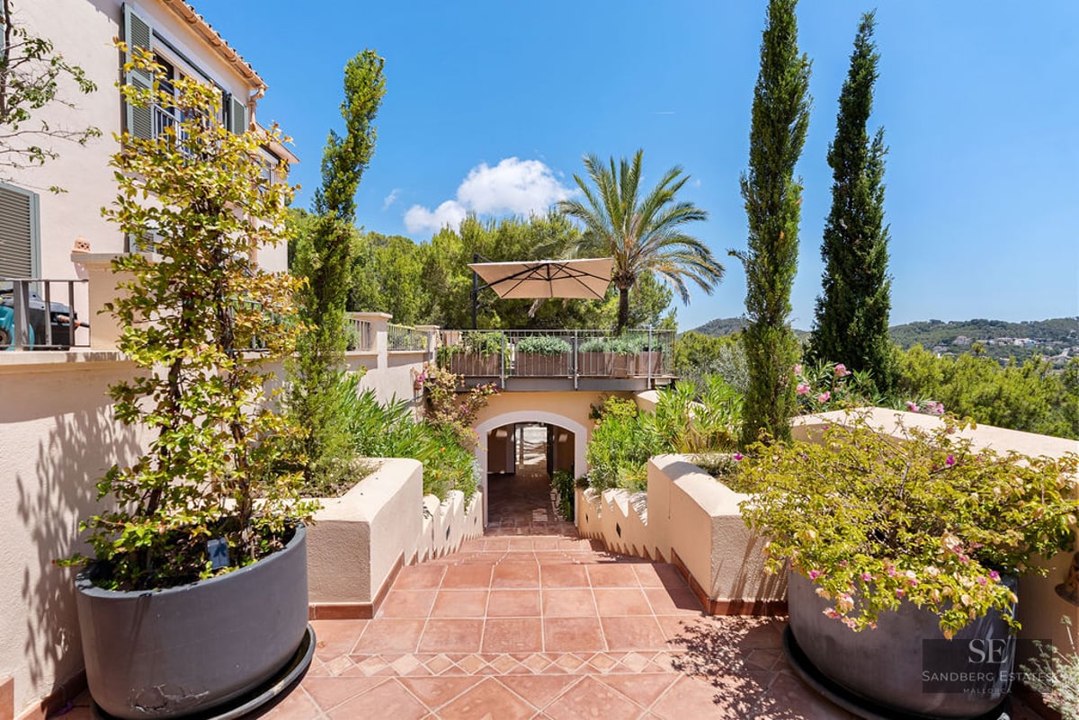 Terracotta stairs flanked by large planters and cypress trees leading to a shaded terrace under a bright blue sky.