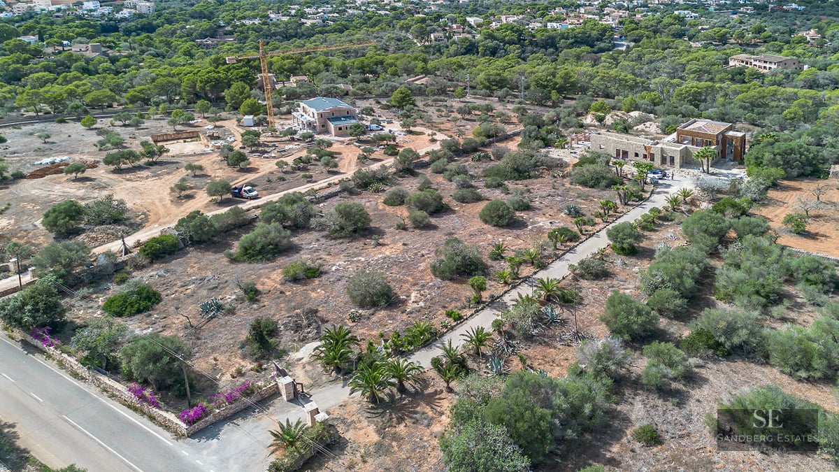 Drone shot of a large property featuring stone buildings, a long palm-lined driveway, and lush natural vegetation.