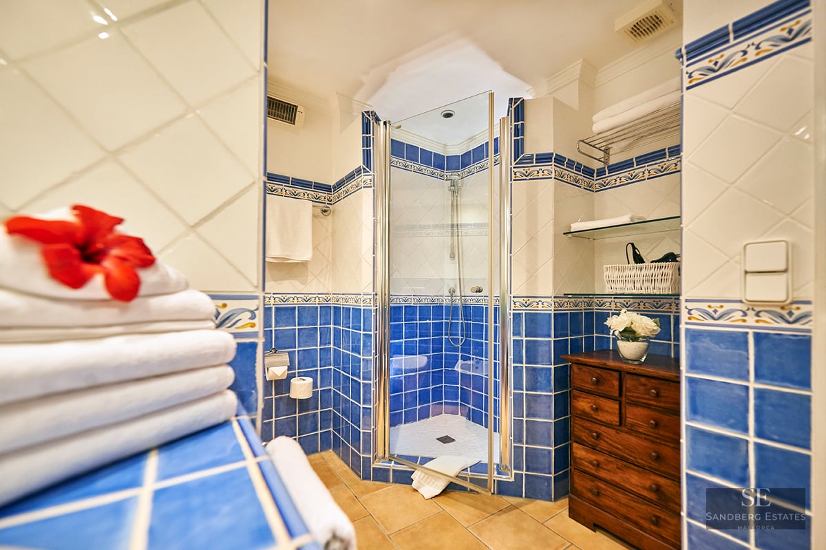 Bathroom with blue and white tiles, glass shower stall, terracotta floor, and rustic wooden dresser.