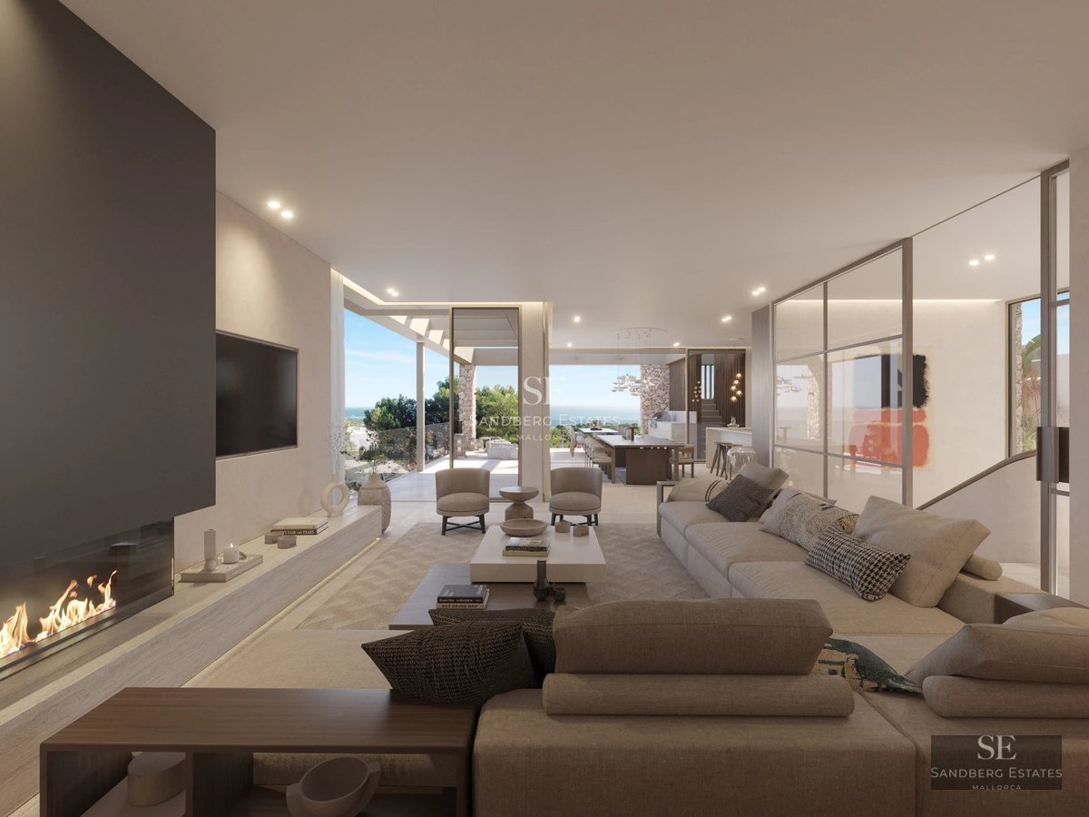 Exterior view of a modern house featuring an infinity pool, manicured garden and sleek architectural design. Bright and spacious.