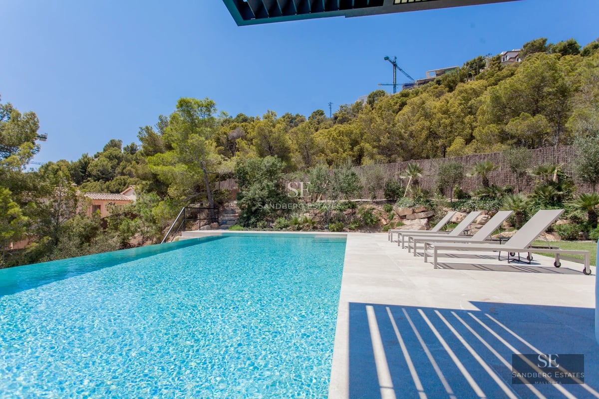 Spacious, bright living room with large windows, light wood flooring, modern fireplace, and minimalist furniture.