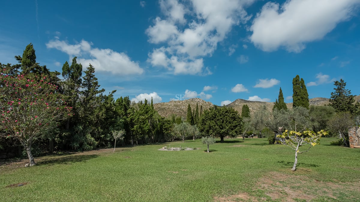 Pelouse verdoyante entourée d'arbres matures et de cyprès sous un ciel bleu avec des montagnes en arrière-plan.