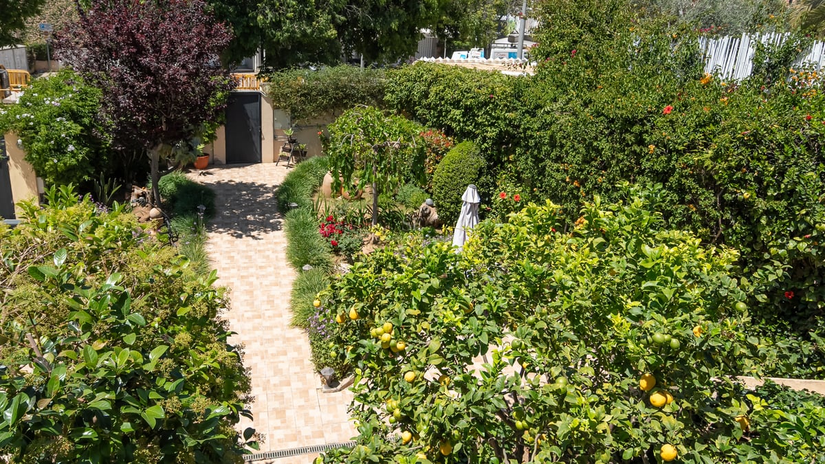 Kaklad gång genom en frodig trädgård med citrusträd och höga häckar i starkt solljus.