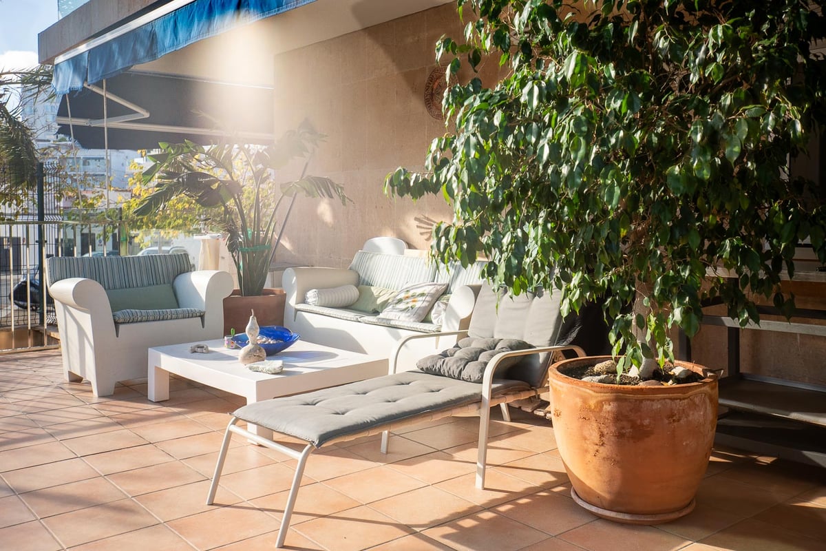 Sonnige Terrasse mit weißen Sofas, grauer Liege, Terrakottaboden und großen Pflanzen unter einer blauen Markise.