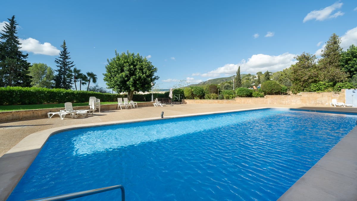Large blue swimming pool surrounded by a stone terrace with lounge chairs and trees under a clear sky.