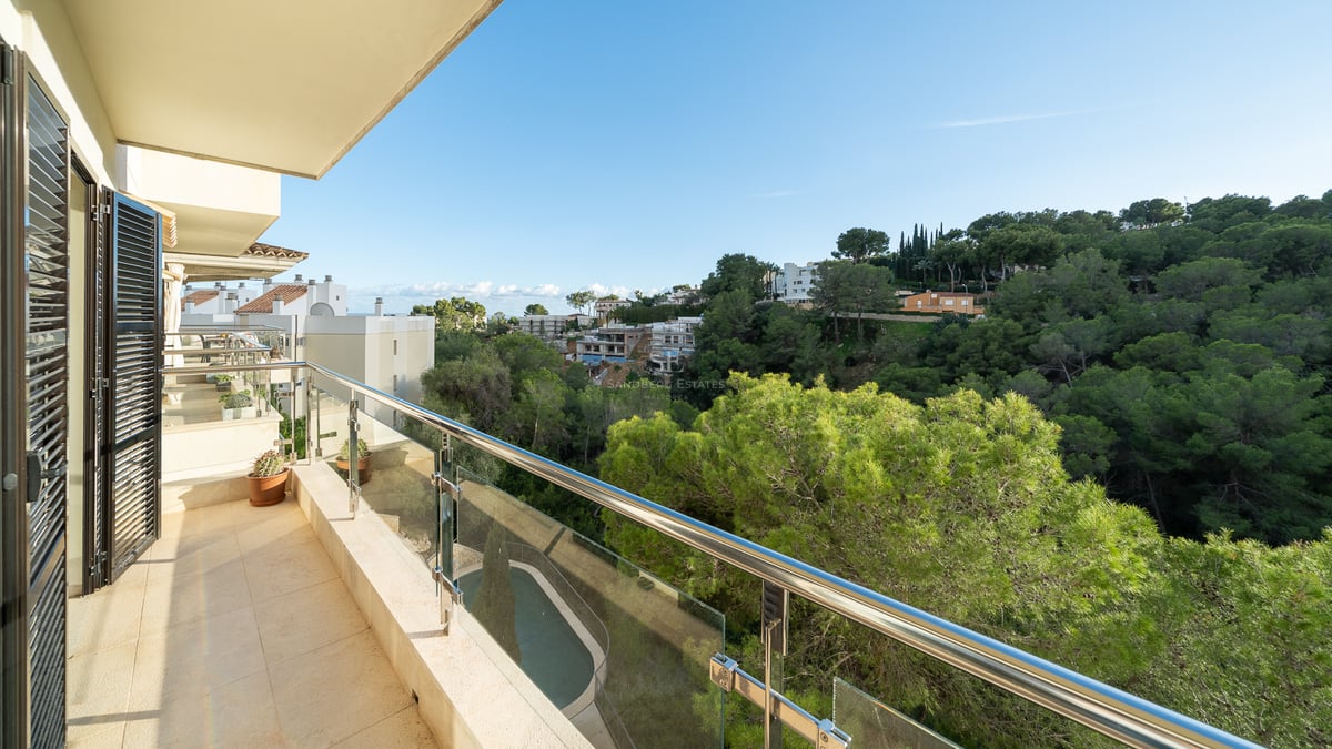 Bred terrass med glasräcke med utsikt över en lummig grön skog och en pool nedanför.