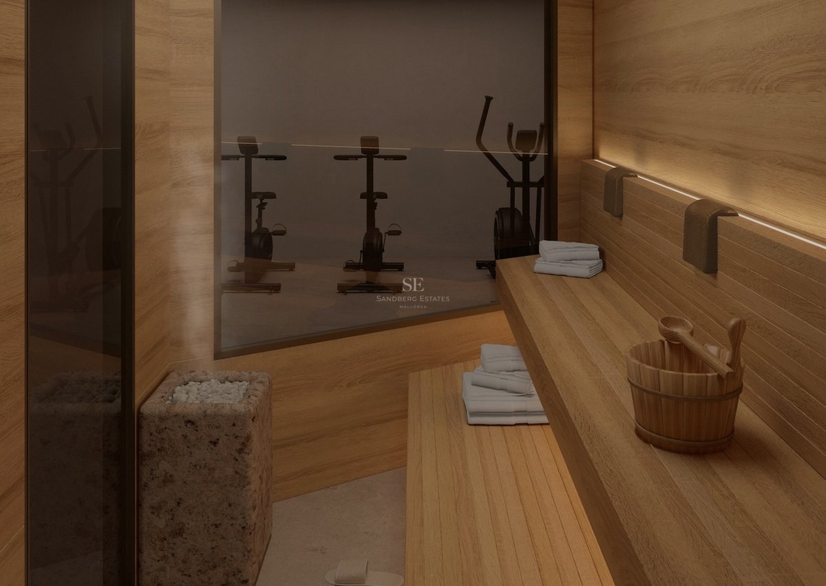 Innenansicht einer modernen Holzsauna mit Steinofen, Dampf und Fenster zum angrenzenden Fitnessbereich.