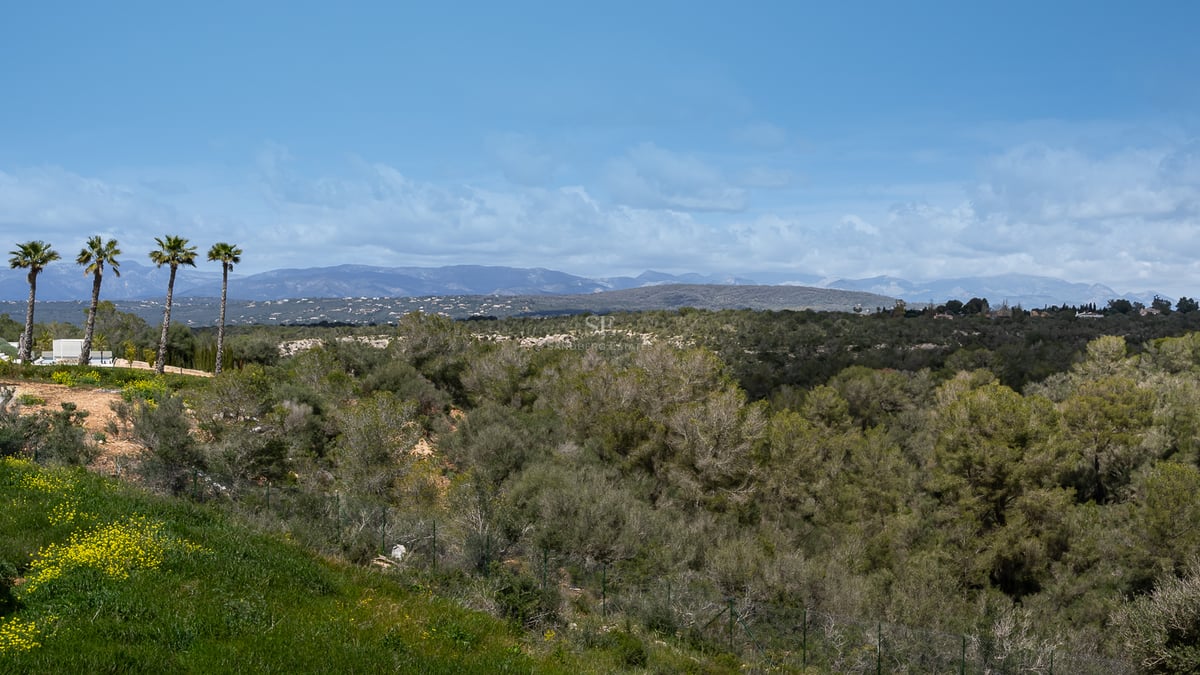 Panoramablick auf grüne mediterrane Hügel und ferne Bergketten unter einem blauen Himmel mit vereinzelten Wolken.