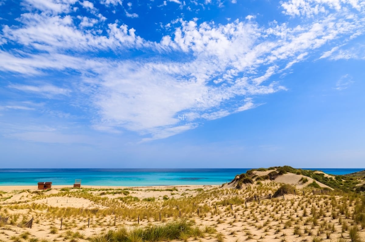 Wide view of sandy dunes with beach grass leading to a bright turquoise sea under a blue sky with white clouds.