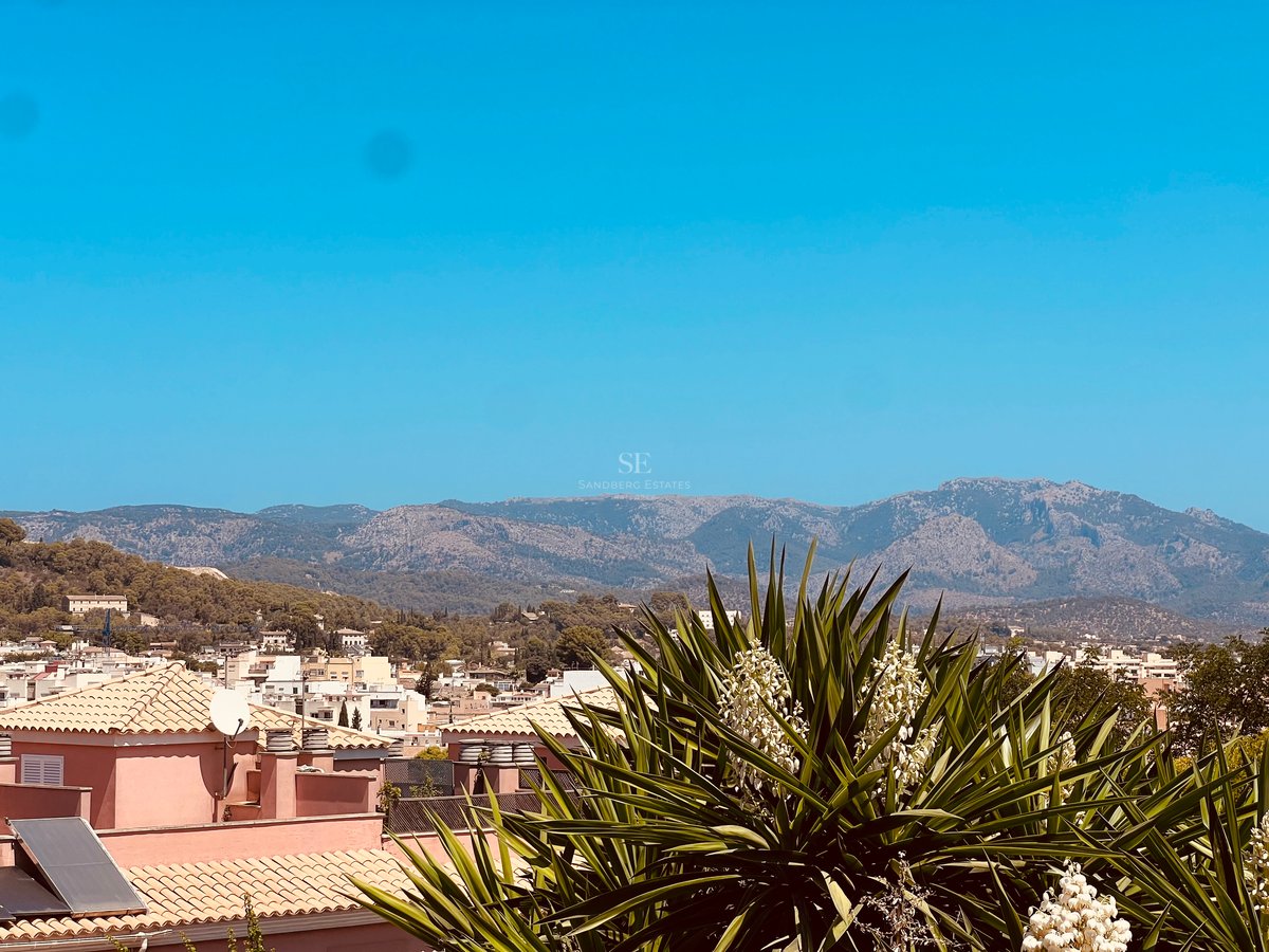 Vue sur les toits en terre cuite vers une chaîne de montagnes sous un ciel bleu avec un yucca au premier plan.