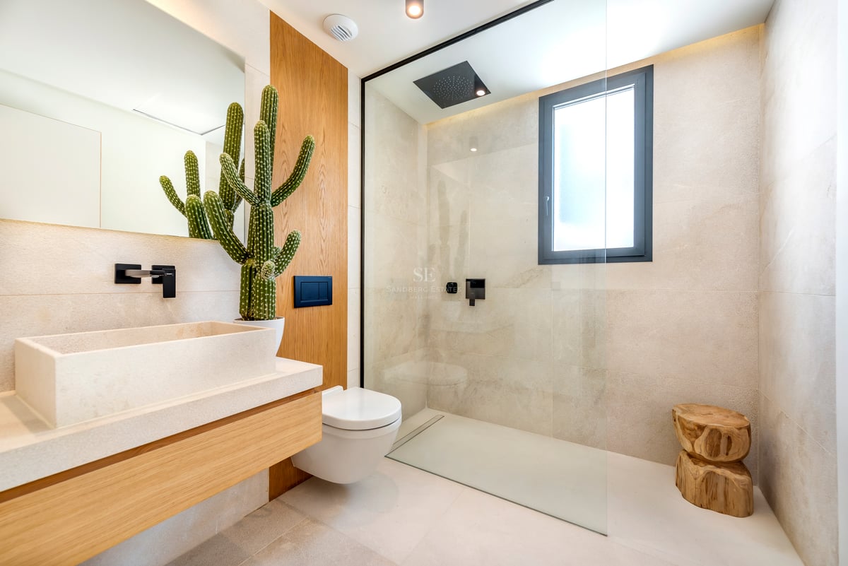 Salle de bains moderne avec douche à l'italienne, vasque en pierre, meuble en bois et un grand cactus.