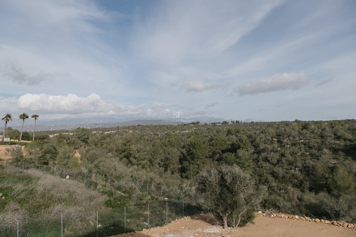 Panoramablick auf einen üppigen grünen Wald, der sich vor einem blauen Himmel bis zu fernen Bergen erstreckt.