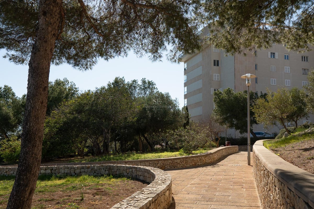 Ein geschwungener Pflasterweg mit Natursteinmauern und alten Pinien, der zu einem Wohngebäude führt.