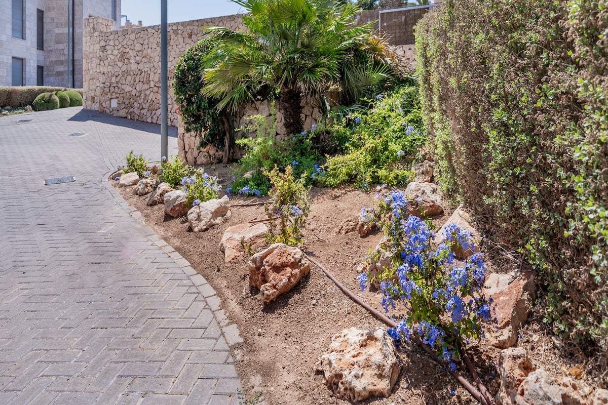 Allée en pavés gris bordée d'un jardin méditerranéen avec murs en pierre, palmiers et fleurs bleues.