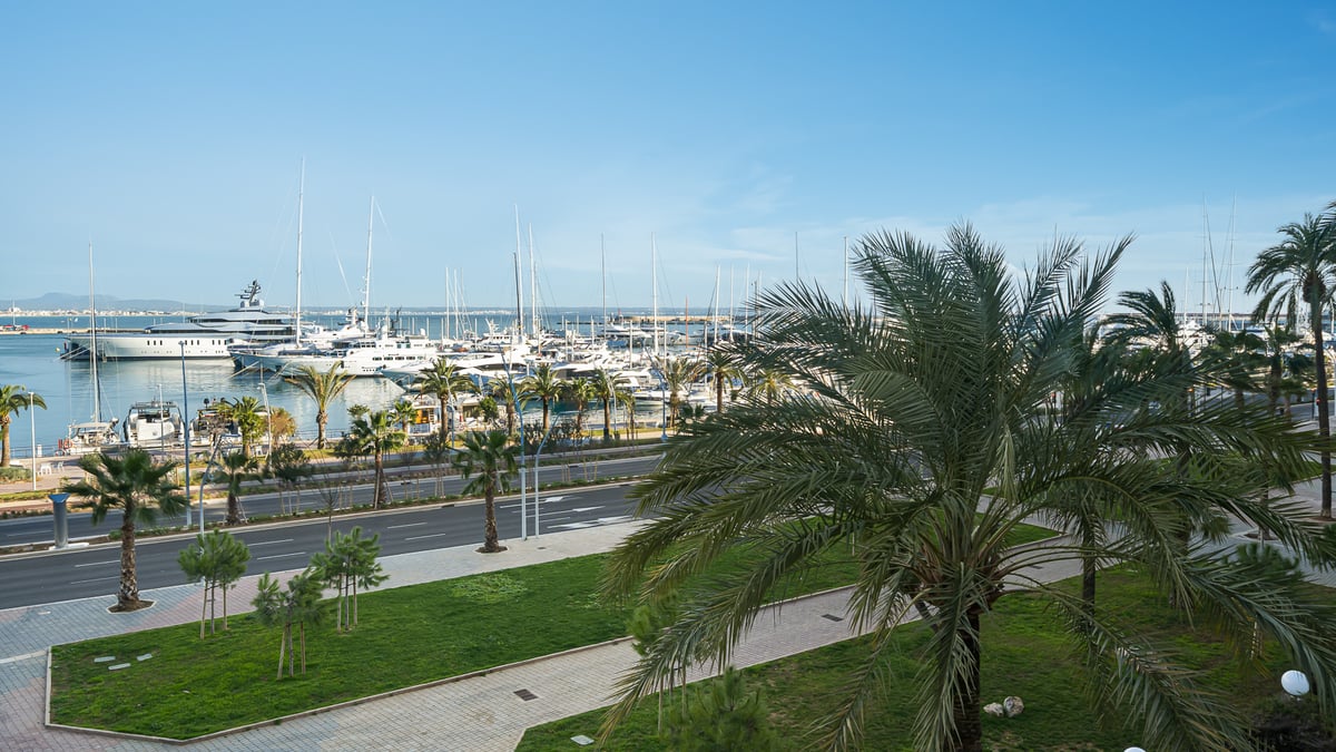 Upphöjd vy över en hamn med lyxyachter, palmer och en kustväg under en klarblå himmel.