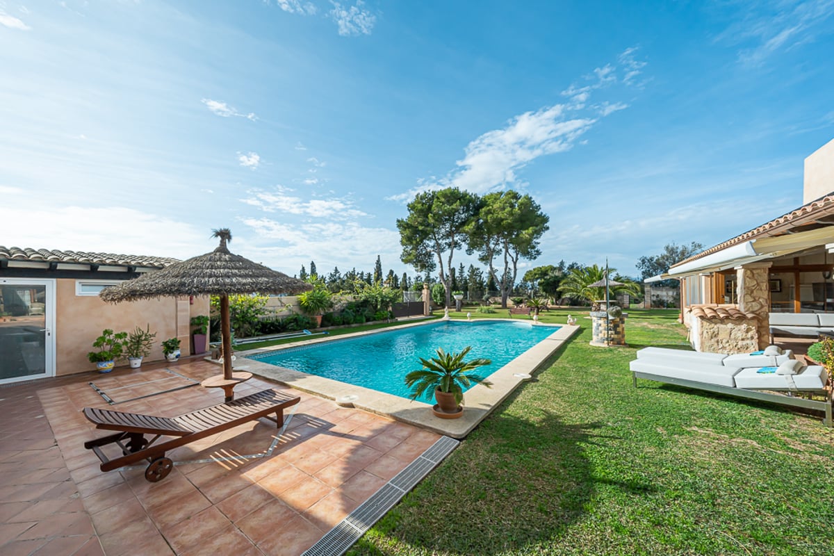 Grande piscine rectangulaire entourée d'une terrasse en terre cuite, d'une pelouse entretenue et de palmiers.