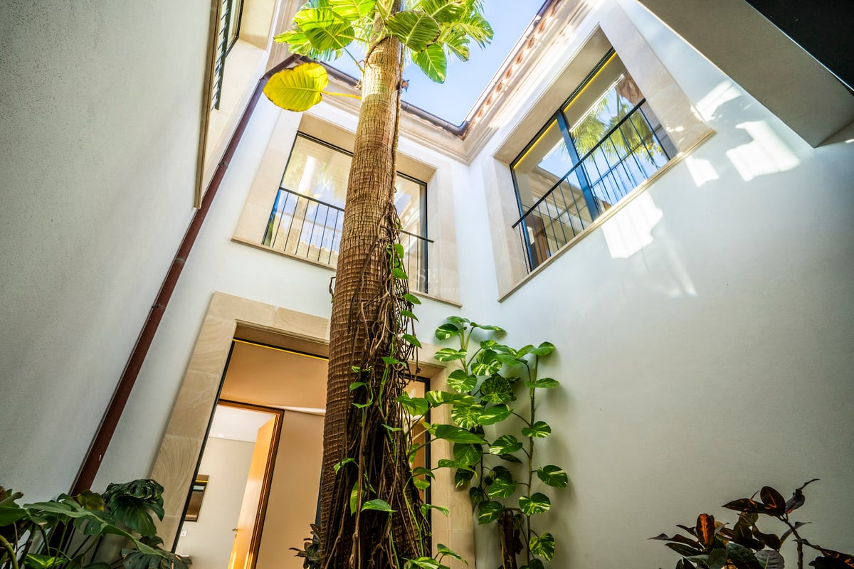 Blick nach oben auf eine hohe Palme in einem weißen Innenhof mit steingefassten Fenstern und Blick auf den Himmel.