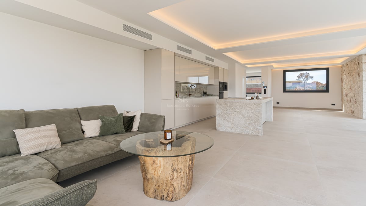 Offenes Wohnzimmer mit olivfarbenem Sofa, Glastisch mit Baumstammfuß und schlichter weißer Küche.