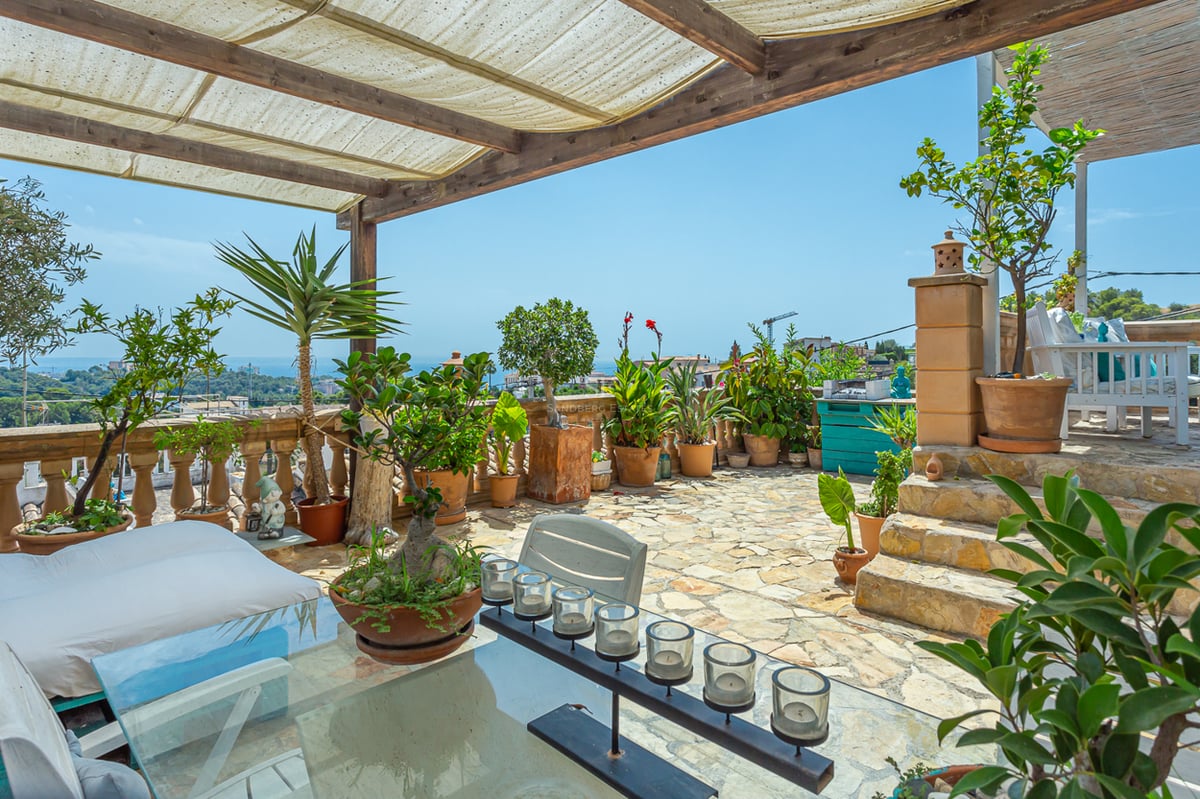 View of an infinity pool with glass edge, surrounded by lush garden and modern home with large windows.