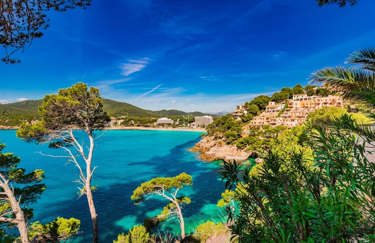 Turquoise water bay surrounded by pine trees and hillside houses under a clear blue sky.