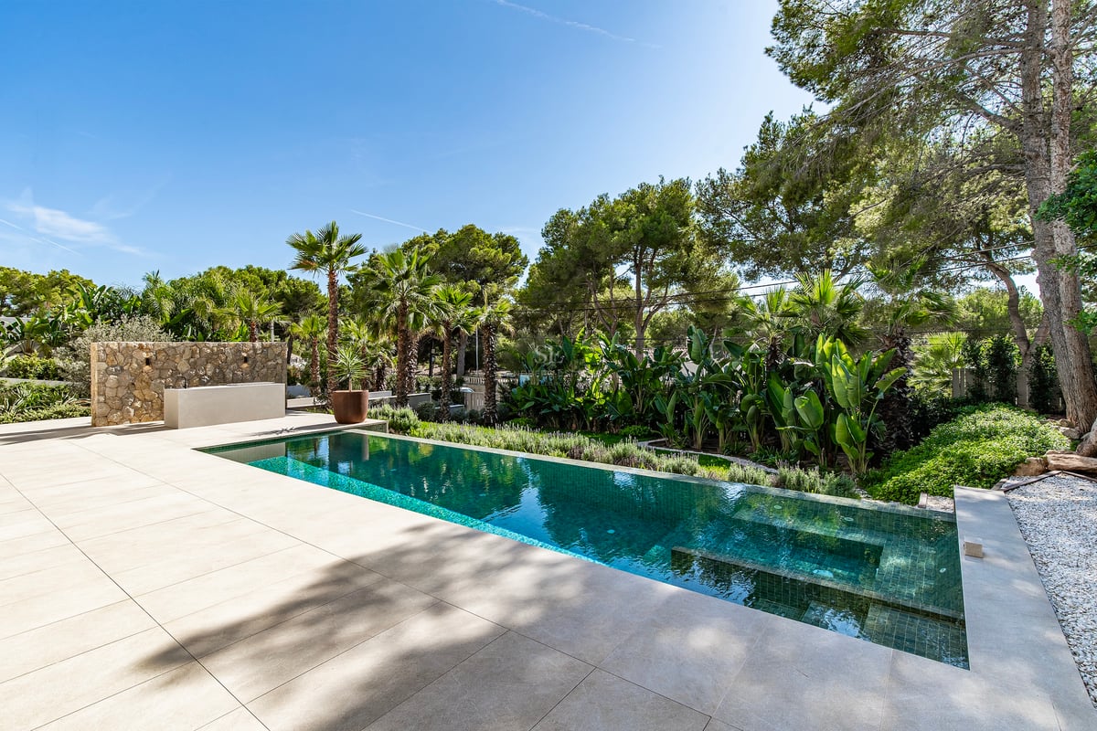 Piscine rectangulaire turquoise entourée d'une terrasse en pierre beige et de palmiers sous un ciel bleu.