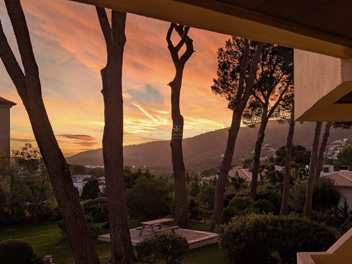 Leuchtender Sonnenuntergang in Orange- und Goldtönen über einer Landschaft mit Hügeln und mediterranen Pinien.