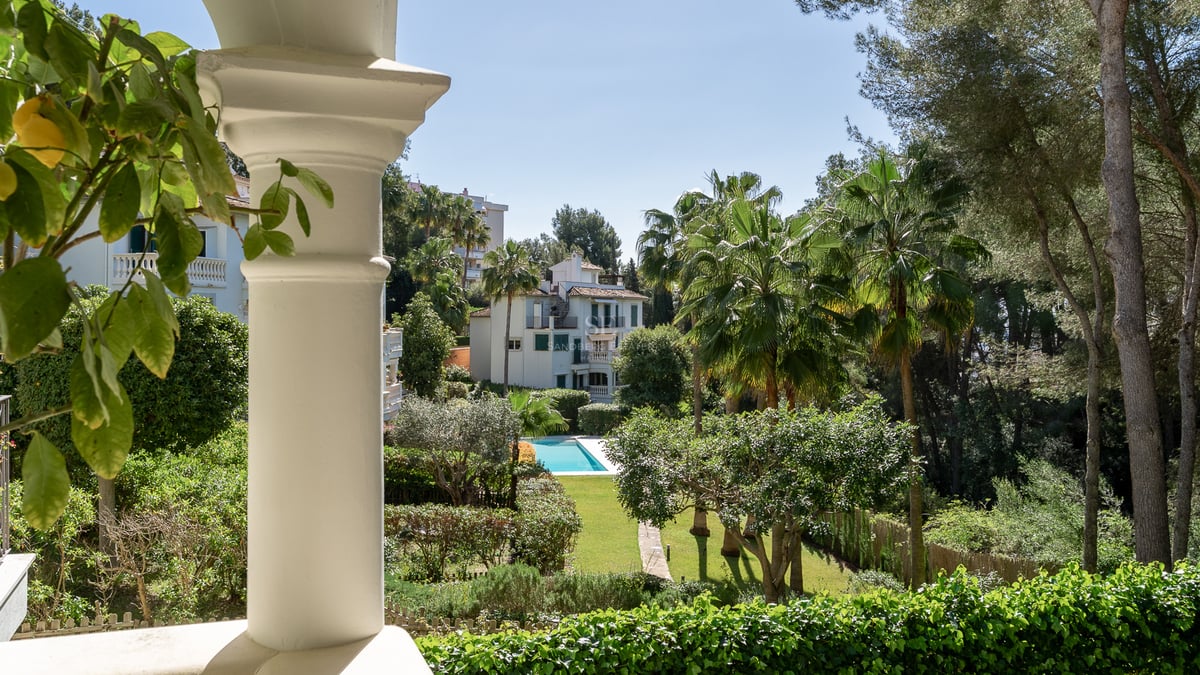 View from a white terrace column of a lush green garden with a blue swimming pool and palm trees under a clear sky.