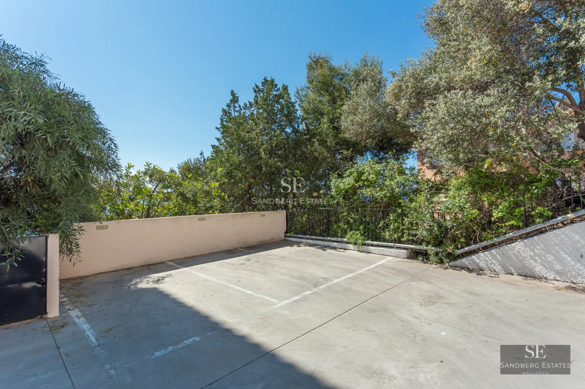Outdoor parking space with marked white lines, surrounded by lush green trees and a low wall under a clear blue sky.