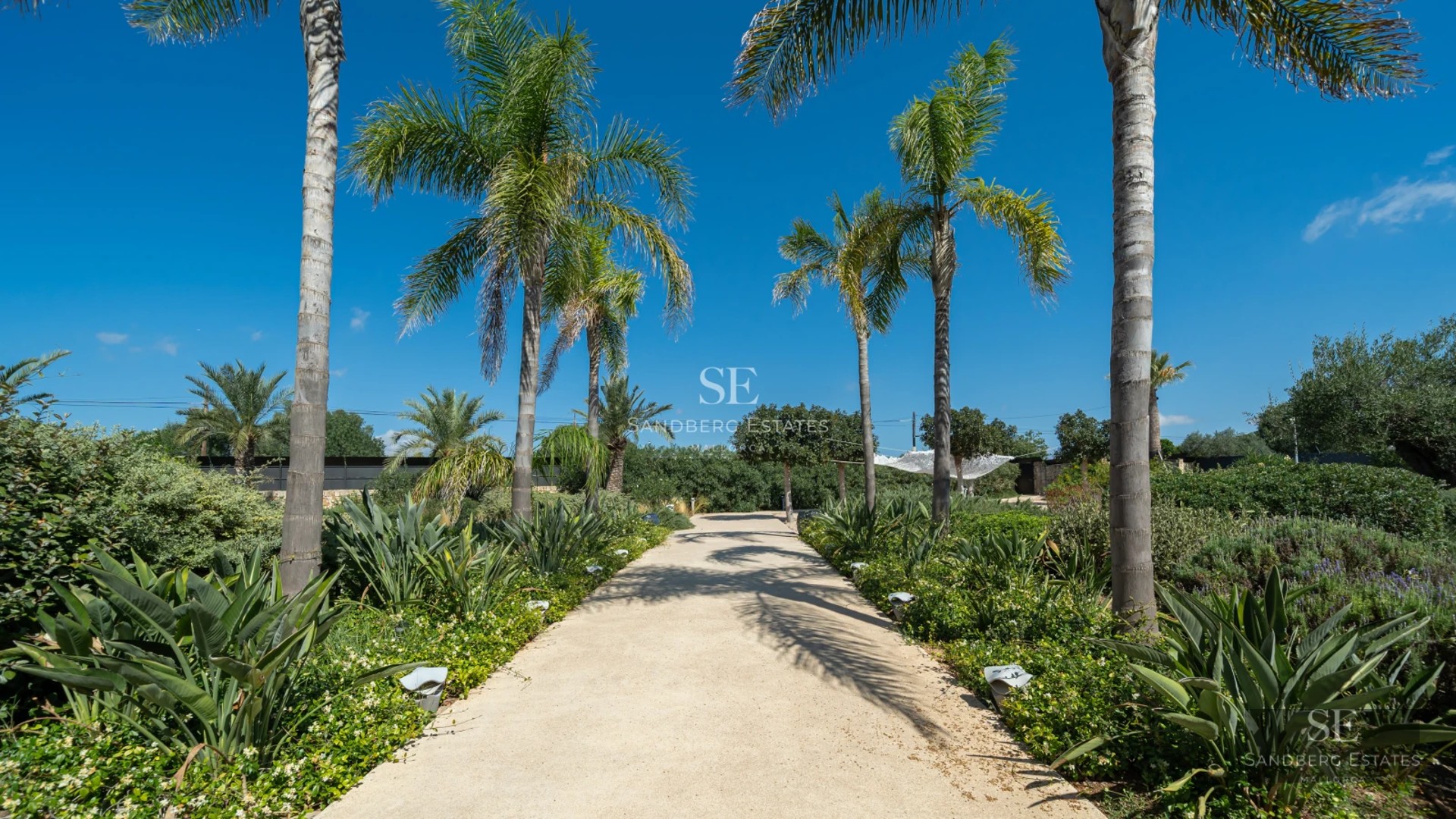 View of infinity pool surrounded by modern terrace and lush greenery. Minimalist architecture with large windows.