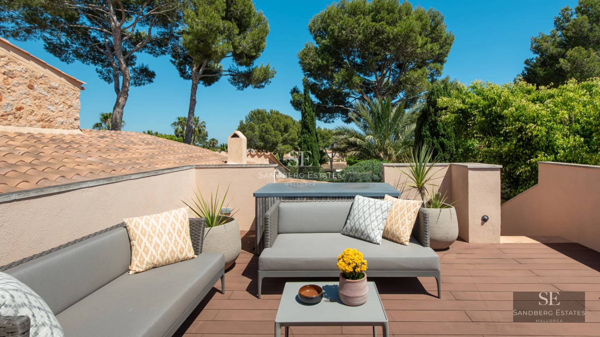 Exterior view of modern villa with pool, large garden, expansive windows, and minimalist architecture. Well-maintained landscaping.
