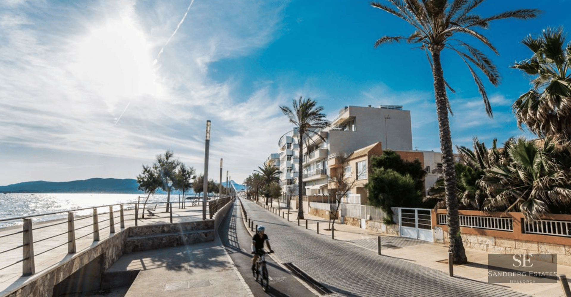 A person cycling on a sunny beachfront promenade lined with palm trees and modern buildings next to the sea.