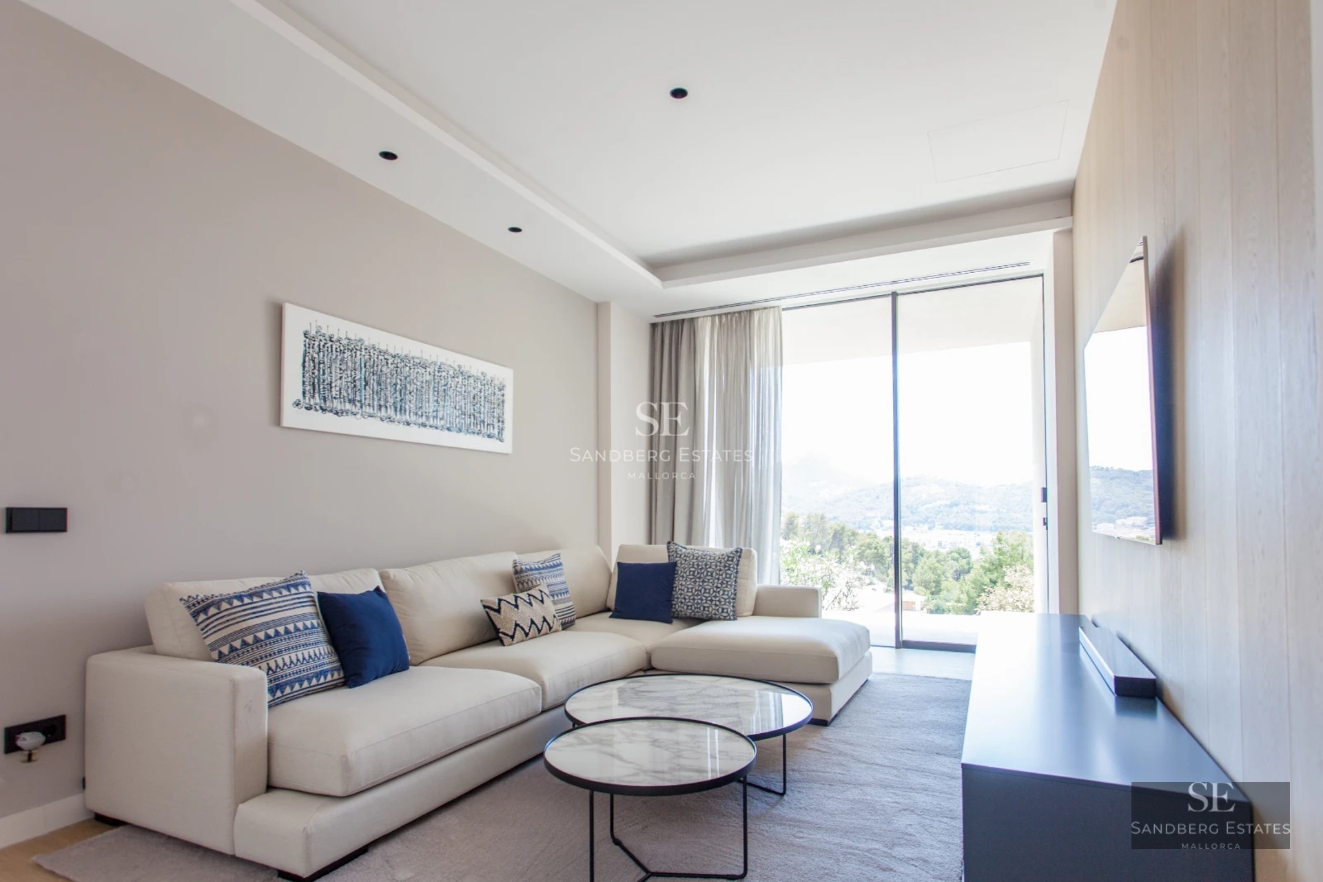 Bright living room with large windows, light wood floor, modern fireplace, and designer furniture. Unobstructed city views.