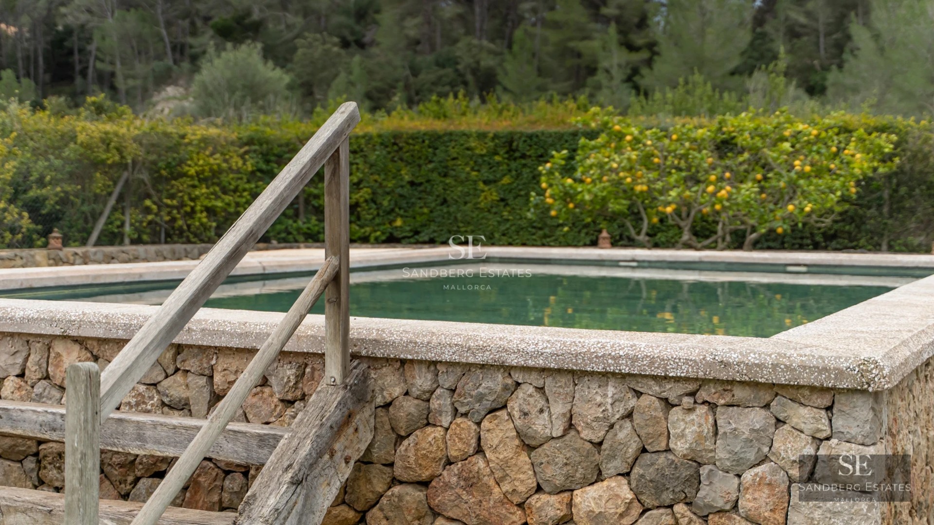 Spacious living room with large windows, sea view, and modern design. Light wood floors and designer furniture.