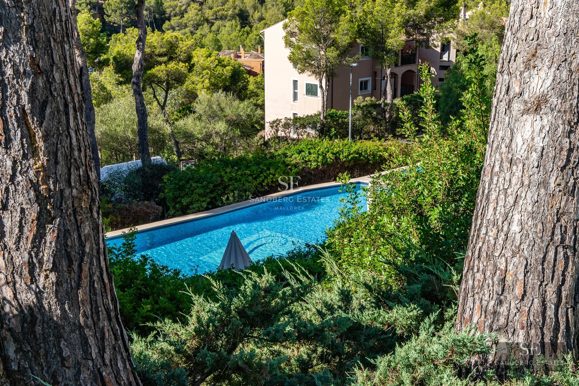 Spacious living room with picture windows, light wood floors, and modern, bright decor. Garden view.