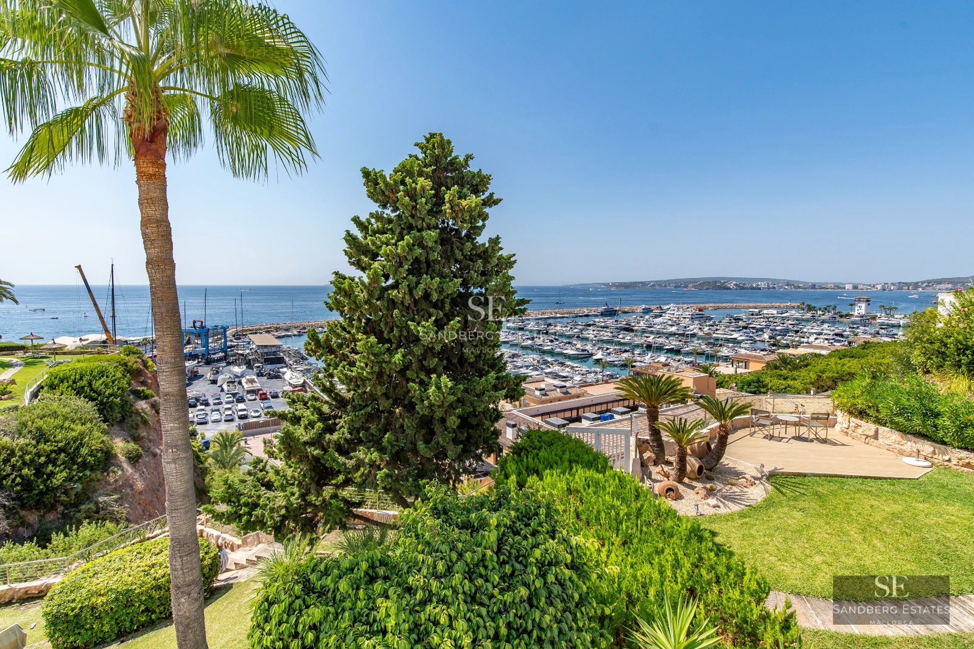 View of an elegant pool surrounded by a lush garden and modern architecture featuring large windows.