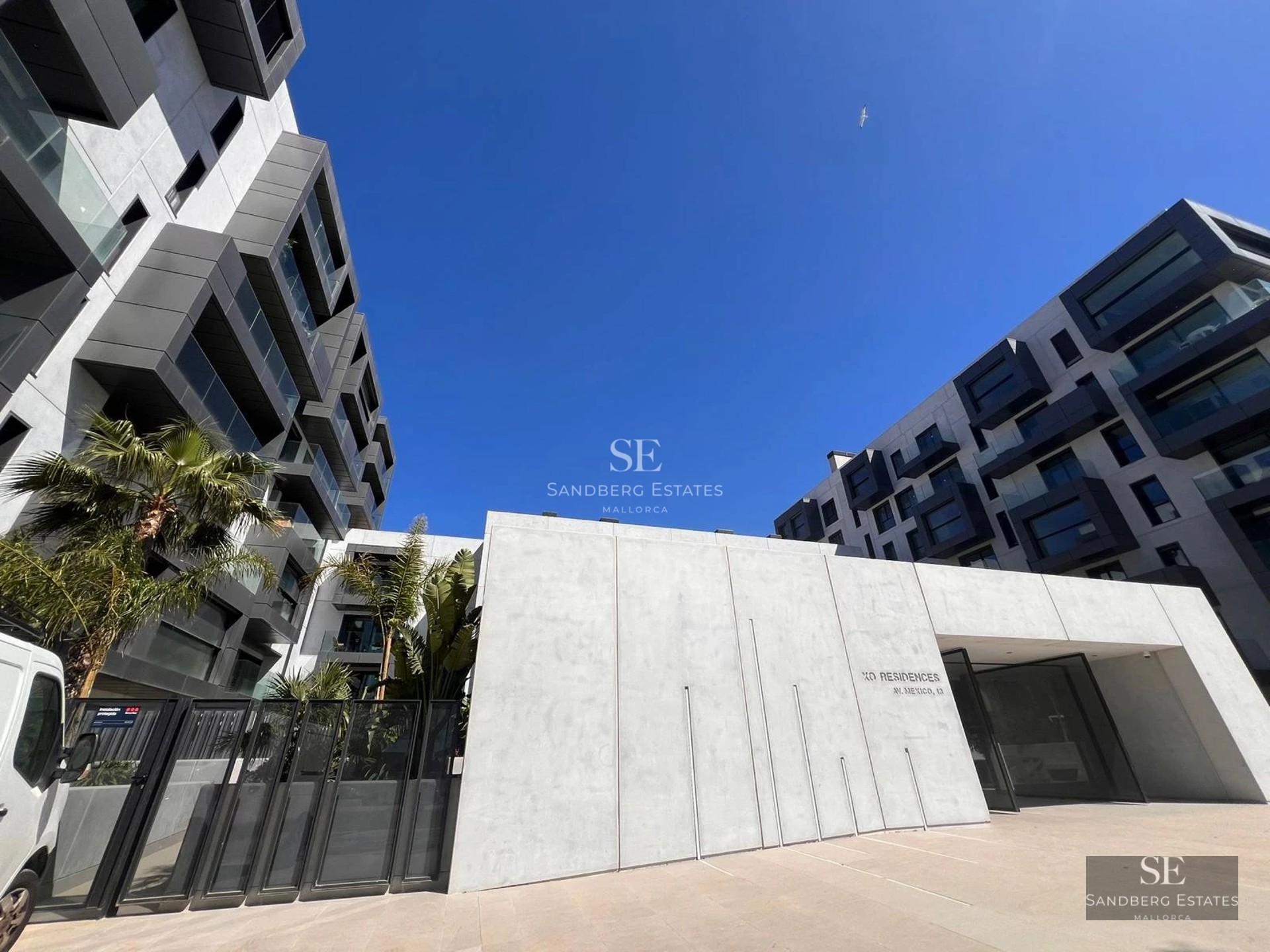 Pool view surrounded by lush garden. Modern architecture with large windows and manicured landscaping. 