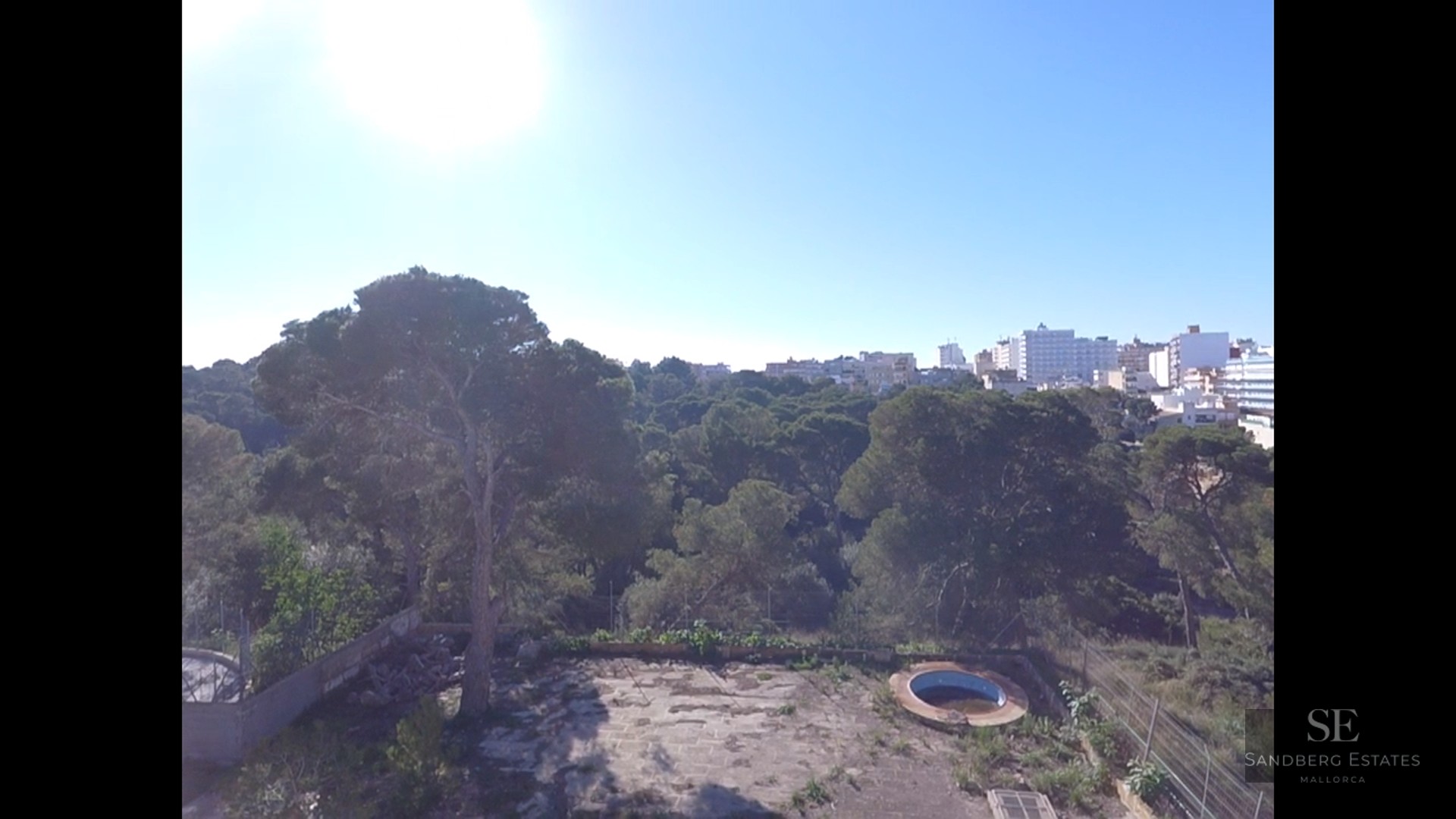 Elevated view of a garden with a small circular pool, large pine trees, and the city skyline in the distance.