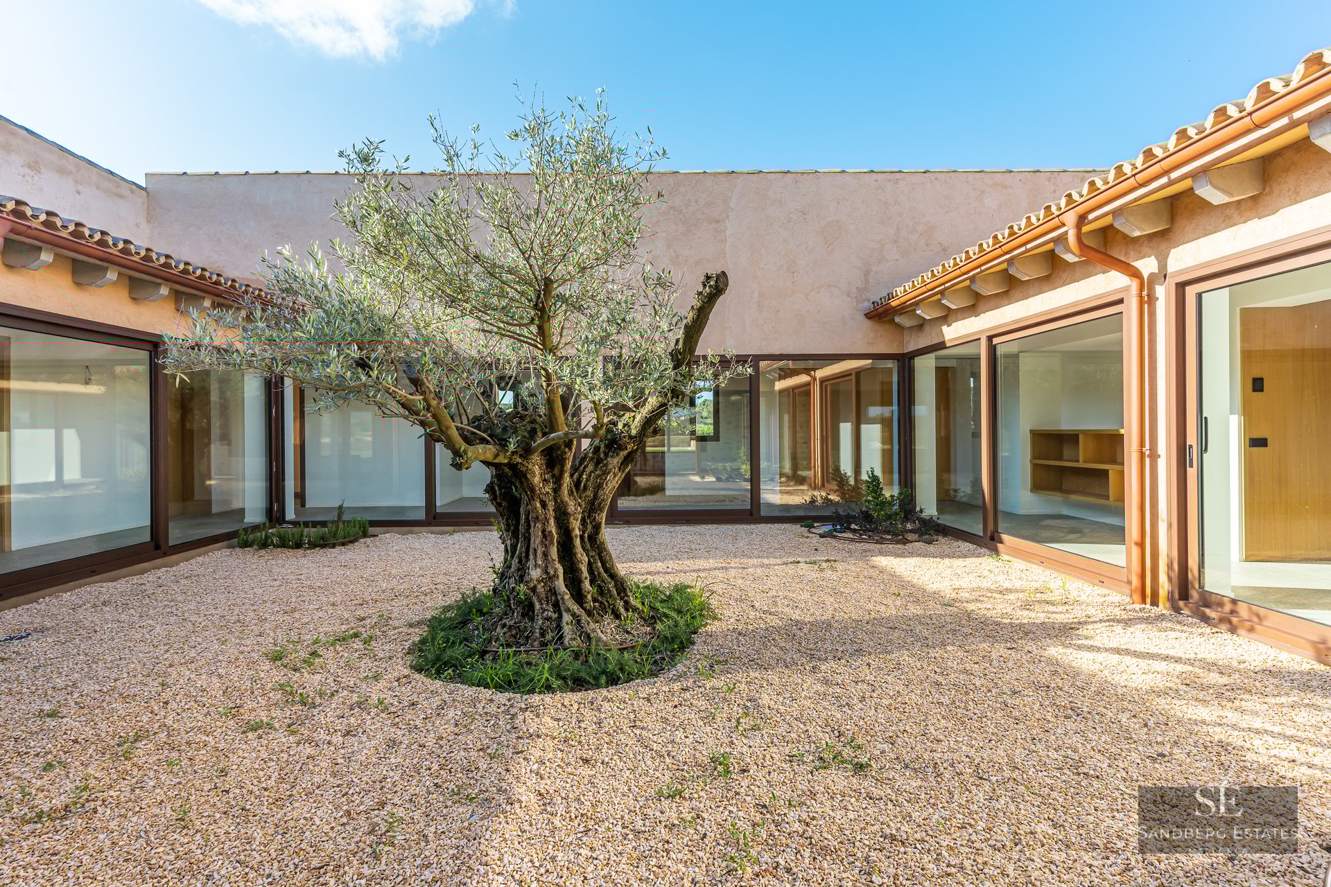 A central courtyard featuring an old olive tree, light gravel, large glass windows, and a terracotta roof.