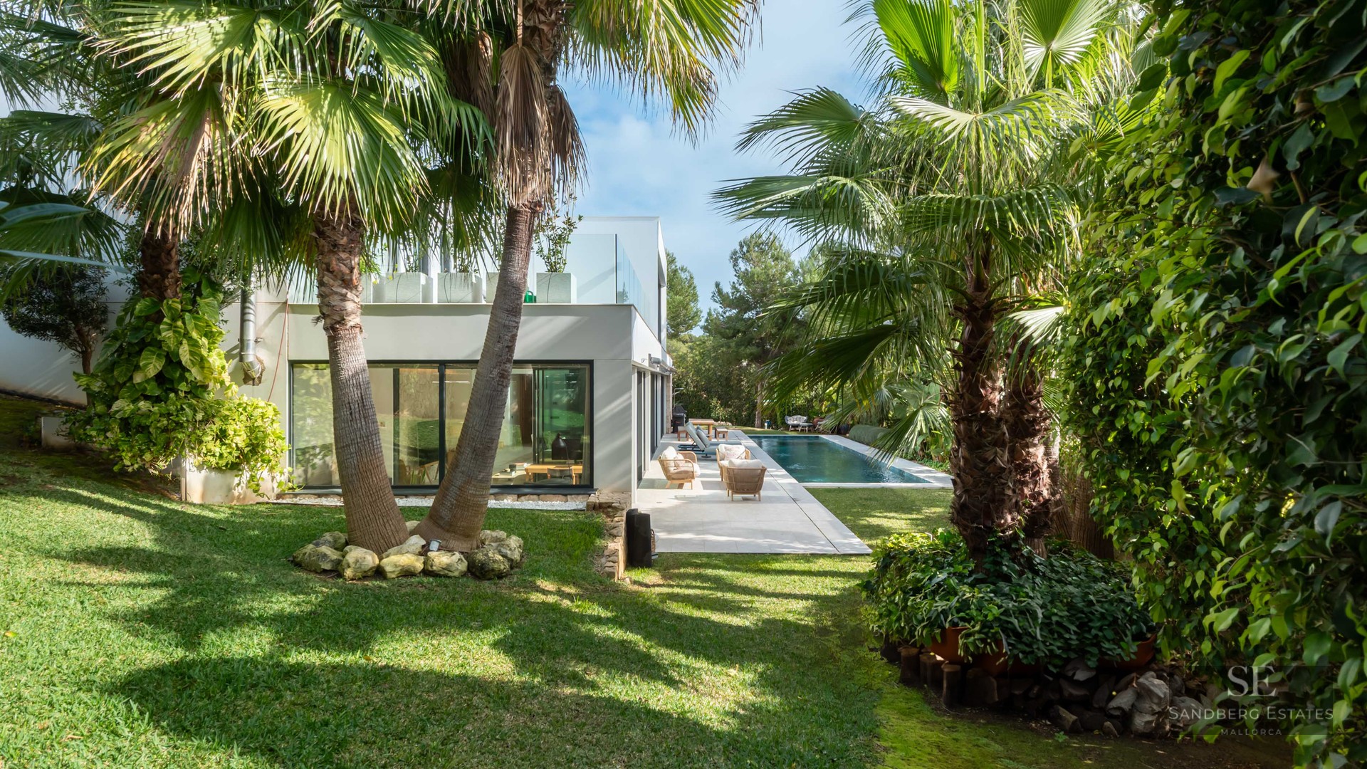 Jardin verdoyant avec palmiers menant à une villa blanche moderne et une piscine sous un ciel bleu.