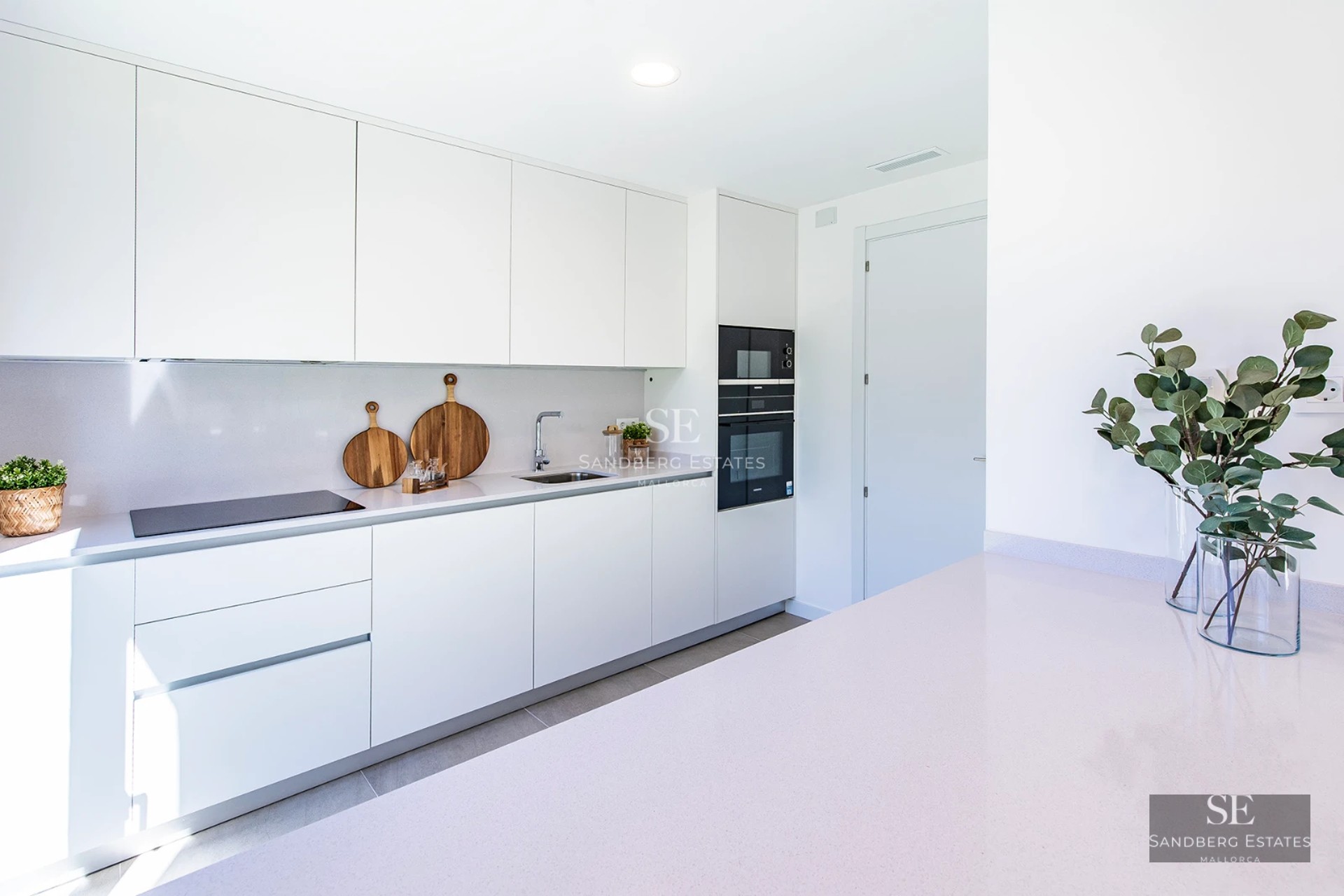 Exterior view of a modern house with pool, garden, and large windows. Minimalist design with luxurious finishes.